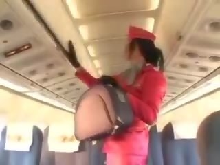 Sexy stewardess zuigen lul voor cunnilingus